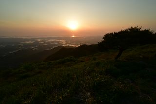 산 아래님의 마늘 · 일상 작성글 사진