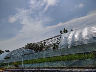 천성을향하여님의 자유주제 · 사진전 작성글 사진