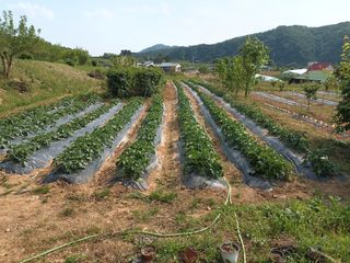 정희군님의 자유주제 · 사진전 작성글 사진