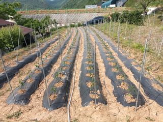 정희군님의 자유주제 · 사진전 작성글 사진