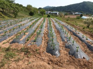 정희군님의 자유주제 · 사진전 작성글 사진