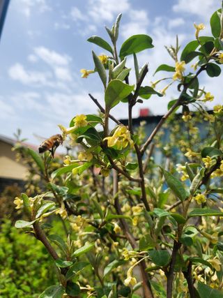 서정훈 님의 자유주제 · 사진전 작성글 사진