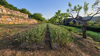 빈현린님의 자유주제 · 사진전 작성글 사진