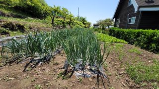 빈현린님의 자유주제 · 사진전 작성글 사진