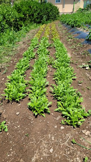 빈현린님의 자유주제 · 사진전 작성글 사진