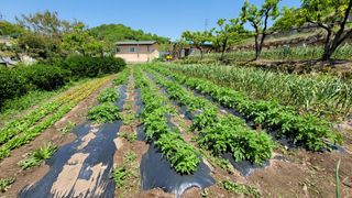 빈현린님의 자유주제 · 사진전 작성글 사진