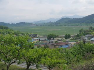 빈현린님의 자유주제 · 사진전 작성글 사진