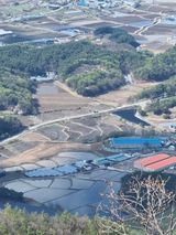 팜모닝 자유주제·사진전 게시글 이미지