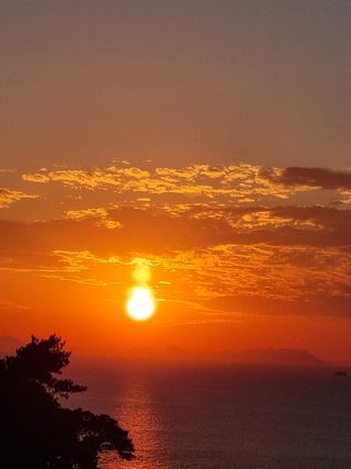 이문규님의 자유주제 · 사진전 작성글 사진