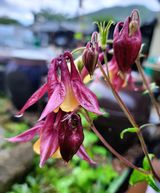 팜모닝 자유주제·자유게시판 게시글 이미지