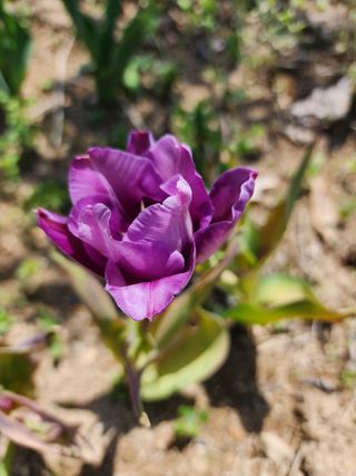 쏭이네농장(현자)님의 자유주제 · 자유게시판 작성글 사진