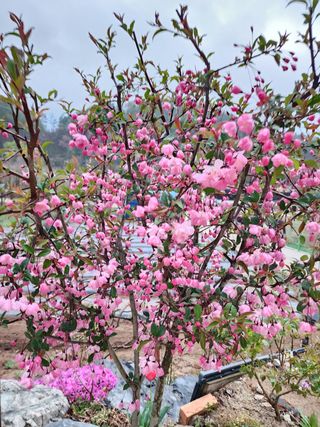 쏭이네농장(현자)님의 자유주제 · 자유게시판 작성글 사진