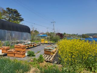 허니허니님의 자유주제 · 사진전 작성글 사진