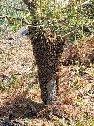 허니허니님의 자유주제 · 사진전 작성글 사진