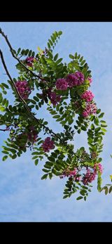 팜모닝 자유주제·사진전 게시글 이미지