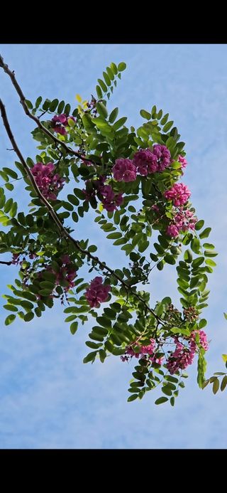 우창구님의 자유주제 · 사진전 작성글 사진