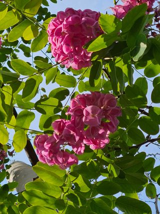 우창구님의 자유주제 · 사진전 작성글 사진