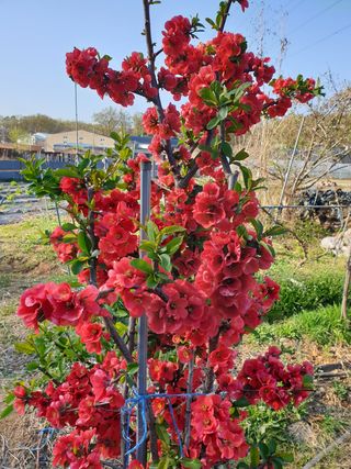 가인 5362님의 자유주제 · 사진전 작성글 사진