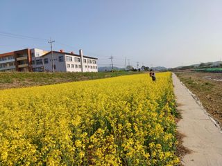 안영배님의 자유주제 · 자유게시판 작성글 사진