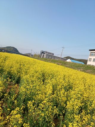 안영배님의 자유주제 · 자유게시판 작성글 사진