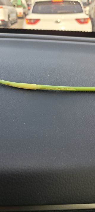 Mmebaik님의 마늘 · 병해충상담 작성글 사진