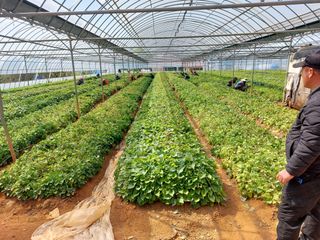 농촌의지킴님의 작성글 사진