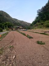 팜모닝 기타작물·자유게시판 게시글 이미지