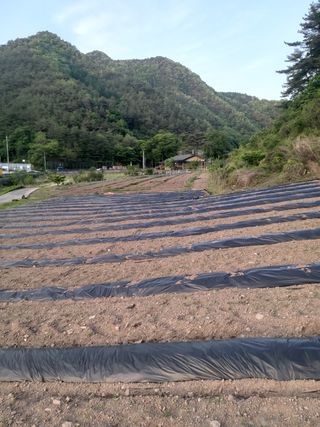 유석범님의 기타작물 · 자유게시판 작성글 사진