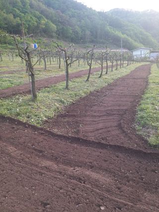 유석범님의 기타작물 · 자유게시판 작성글 사진