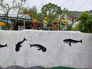 박영수부안님의 자유주제 · 사진전 작성글 사진