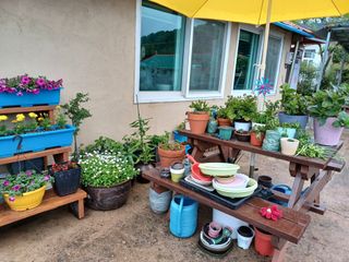 박영수부안님의 자유주제 · 사진전 작성글 사진