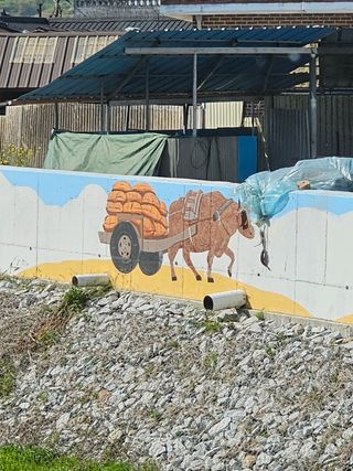 김영재님의 자유주제 · 사진전 작성글 사진