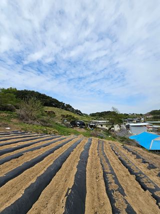 김영재님의 자유주제 · 사진전 작성글 사진