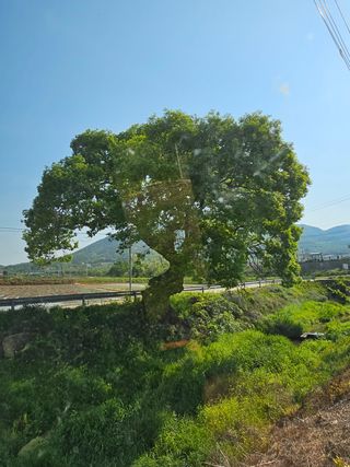 김영재님의 자유주제 · 사진전 작성글 사진