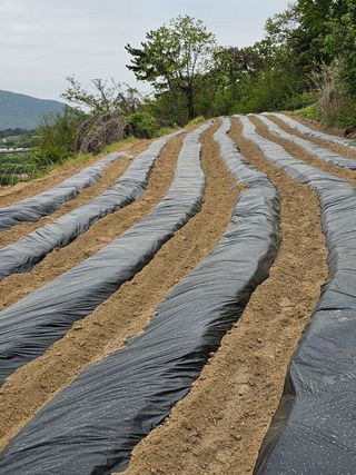 김영재님의 자유주제 · 사진전 작성글 사진