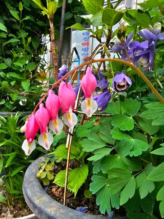 김영재님의 자유주제 · 사진전 작성글 사진