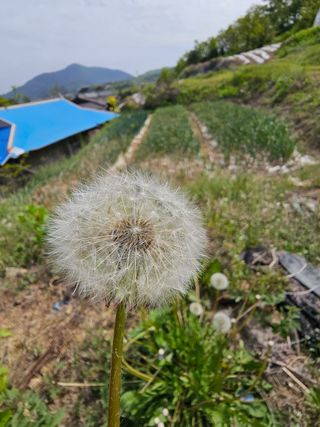 김영재님의 자유주제 · 사진전 작성글 사진