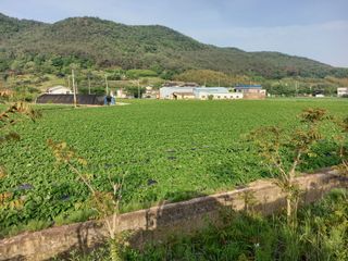 권대도님의 우리동네 · 동네자랑 작성글 사진