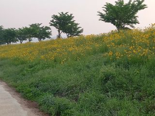 권대도님의 우리동네 · 동네자랑 작성글 사진