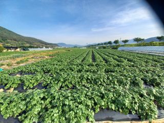 권대도님의 우리동네 · 동네자랑 작성글 사진