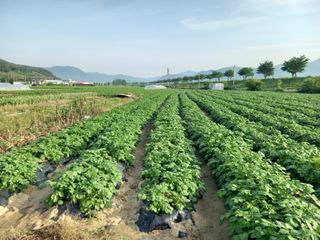 권대도님의 우리동네 · 동네자랑 작성글 사진