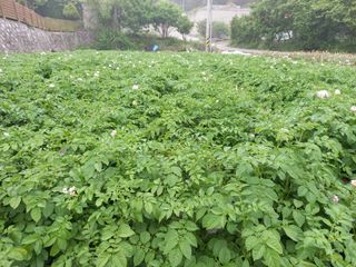 권대도님의 우리동네 · 동네자랑 작성글 사진