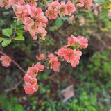 팜모닝 자유주제·사진전 게시글 이미지