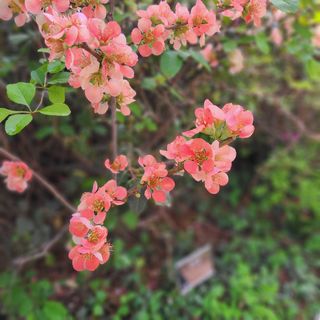 김지연님의 자유주제 · 사진전 작성글 사진