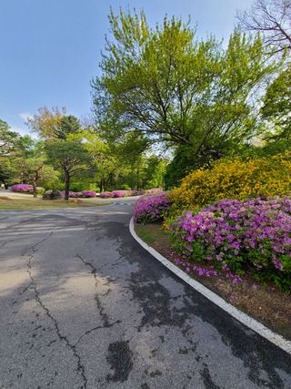 김지연님의 자유주제 · 사진전 작성글 사진