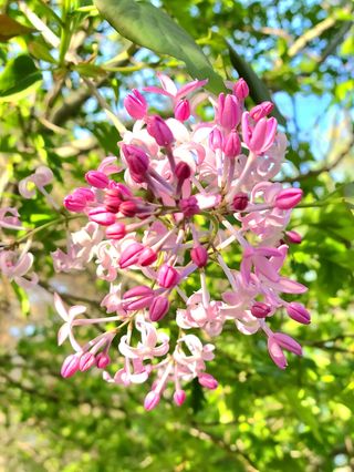 김지연님의 자유주제 · 사진전 작성글 사진