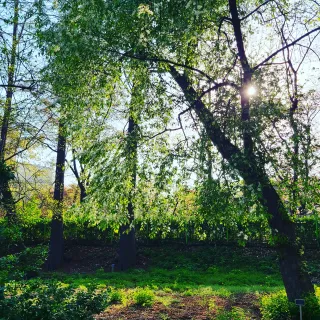 김지연님의 자유주제 · 사진전 작성글 사진