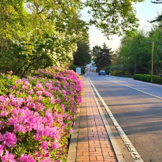 김지연님의 자유주제 · 사진전 작성글 사진