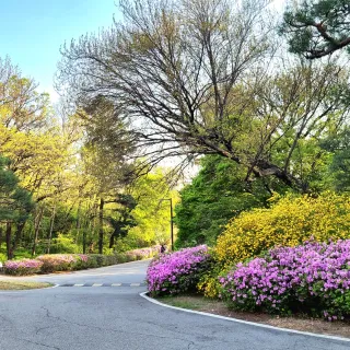 김지연님의 자유주제 · 사진전 작성글 사진