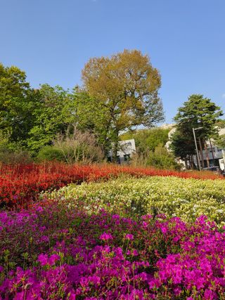 김지연님의 자유주제 · 사진전 작성글 사진